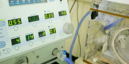 De startup à exportadora em seis anos. Receita? R$ 35 milhões