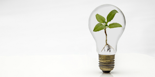 Gerar impacto positivo na vida do consumidor também é inovação 