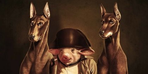 Dos cachorros aos porcos