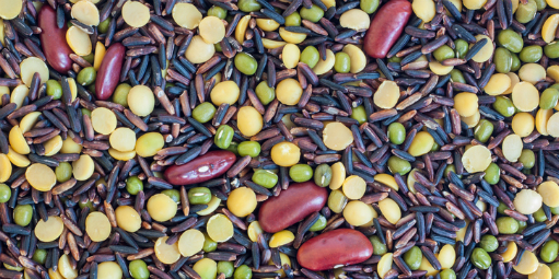 Brasil tem 49 produtos com certificação de origem