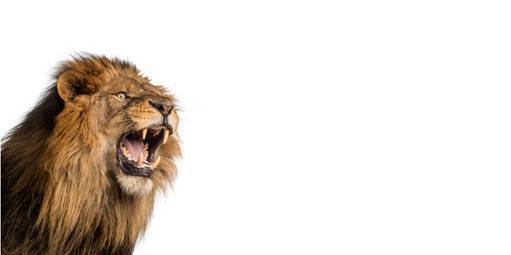 Receita quer evitar “pejotização” com a correção da tabela do IR