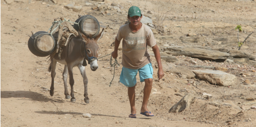 Cresce o número de municípios dependentes do Bolsa Família
