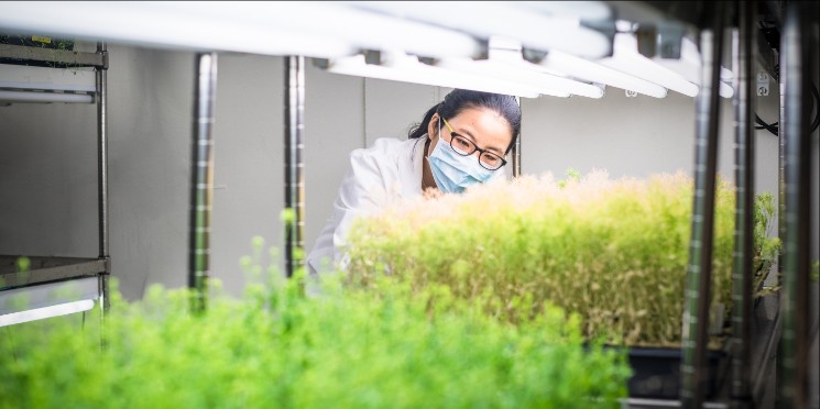 Fusão entre Monsanto e Bayer foi aprovada