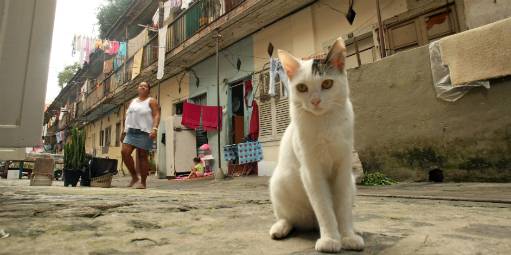 Brasil ainda não pode abrir mão de transferência de renda