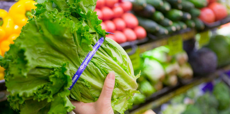 Preço médio dos alimentos na Ceagesp sobe 3,23% em setembro