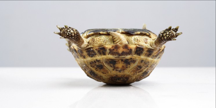 Nenhum setor voltou ao nível pré-crise em cinco anos de recessão