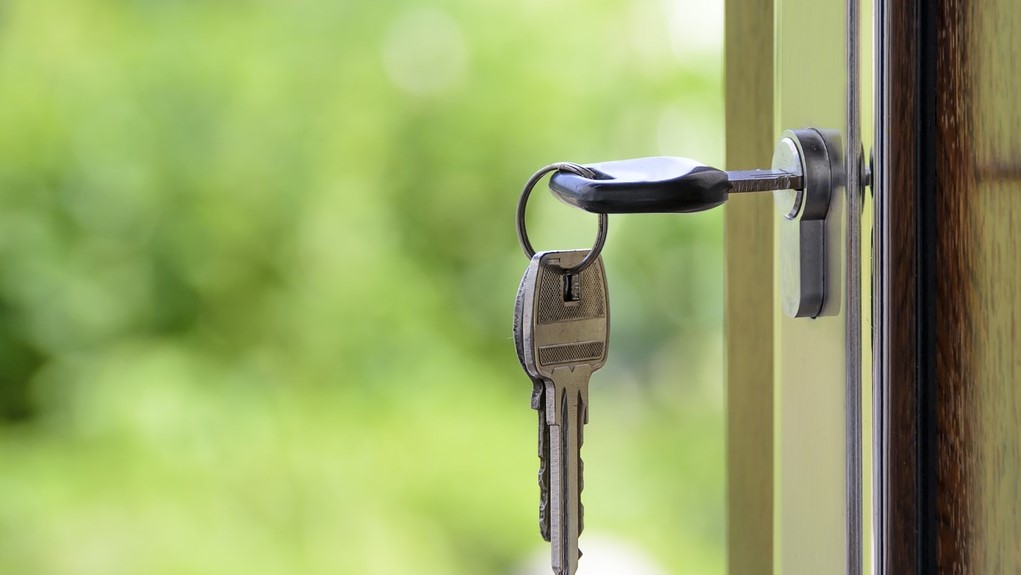 Usufruto: um kit de modalidades