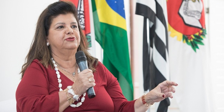 Entenda como o Magazine Luiza consegue crescer em meio à pandemia