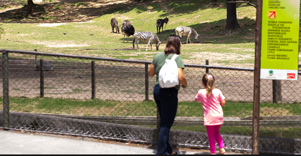 Zoológico e Jardim Botânico terão concessões