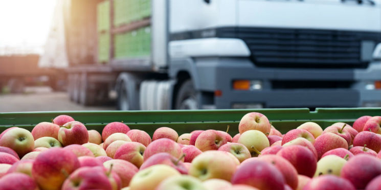 Natal movimenta 20 mil caminhões por dia no Ceagesp