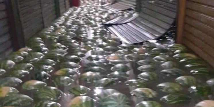 Na Ceagesp, comerciantes perdem 7 mil toneladas de alimentos 