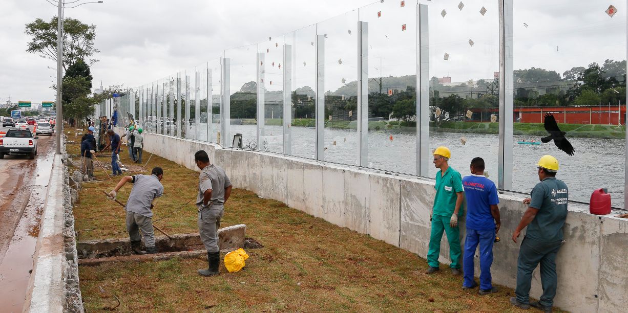 Corredor verde substituirá muro de vidro da raia olímpica da USP