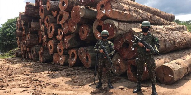 Desmatamento ilegal ofusca robusto pacote brasileiro de ativos ambientais