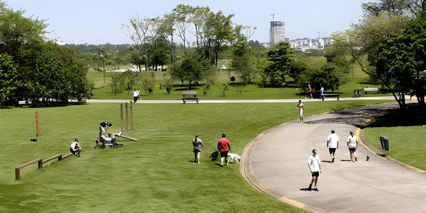 Pandemia despertou o interesse por uma vida mais saudável