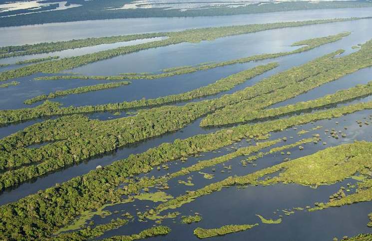 Empresas tentam vender Brasil como potência ambiental em NY