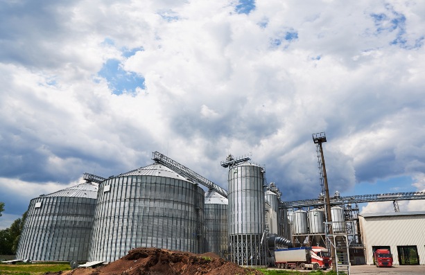 Investimento em logística interna é o desafio do agronegócio 