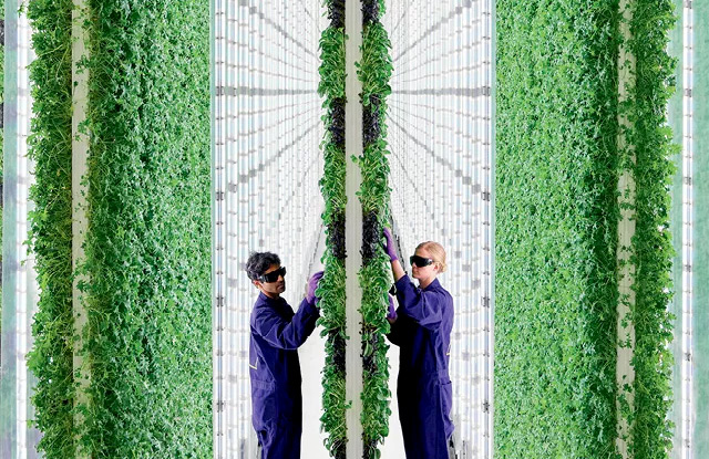 Iniciativas do Walmart e Louis Vuitton sugerem uma nova era do comércio