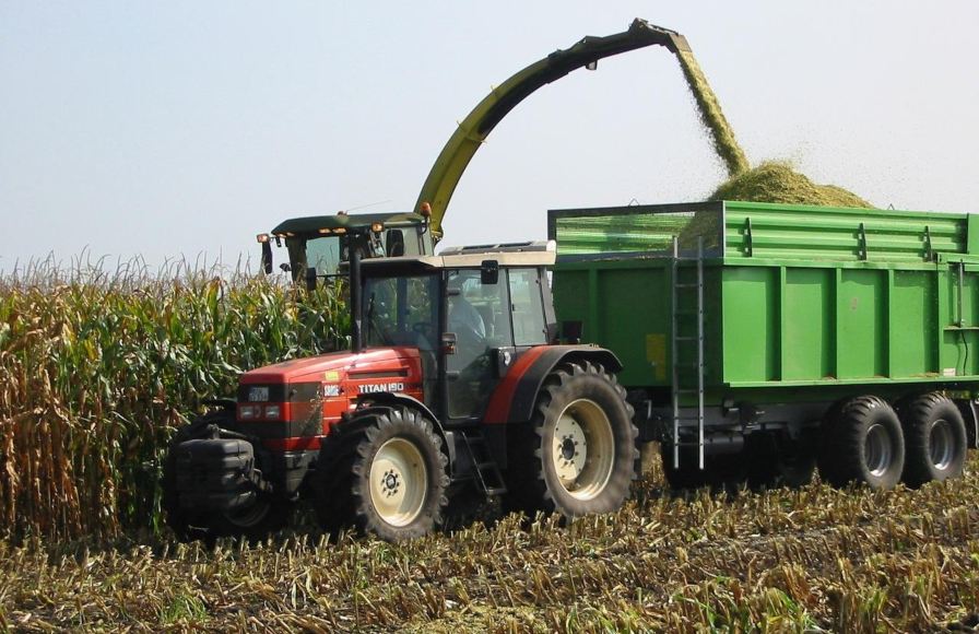 IBGE: mesmo com safra recorde, preço dos alimentos seguirá elevado