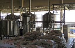 Foram abertas 180 cervejarias no país em 2022