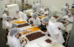 Produção de chocolate alcança 219 mil toneladas no 1º trimestre, alta de 9,8%