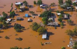 Criadores gaúchos estimam perda de R$ 40 mi com danos e morte de suínos 