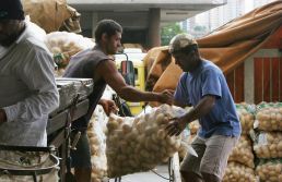 Conab divulga variações nos preços de frutas e hortaliças