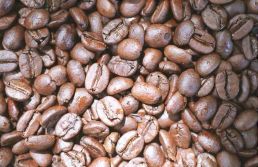 Mesmo taxadas, exportações de suco e café aos EUA cresceram em agosto