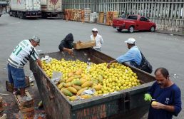 Tecnologia ajuda empresários a reduzir perdas