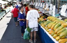 Prefeitura de SP libera do rodízio veículos de feirantes da capital