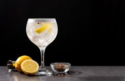 Beg Destilaria, de Campinas, conquista título de melhor gin do mundo