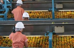 São Paulo é o Estado que mais perde com tarifa de 50% 