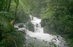 Alesp aprova novo ICMS Ambiental para o Estado