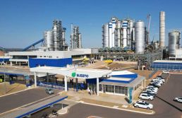 Cade aprova compra pela Suzano de 51% da operação de tissue da Kimberly-Clark