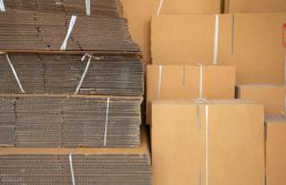 Expedição de papelão cresce 2,7% em 1 ano e totaliza 355,6 t em setembro