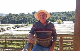 Produtores de morango do interior de SP aproveitam a 'onda do amor'