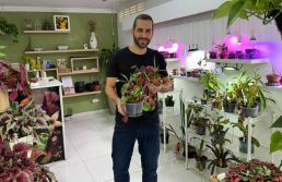 Escultura Viva, a pequena floricultura especializada em plantas carnívoras