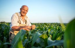 Safra 2023 deve alcançar recorde de 313,3 milhões de toneladas