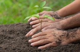 Agro é parte da solução das mudanças climáticas 