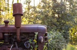 Escalada de recuperações judiciais entre médios produtores preocupa o agro