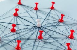 Franquia ou loja própria: como definir o melhor modelo para o seu negócio?