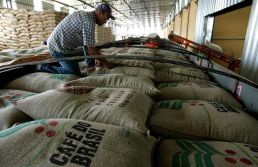 Exportação de cafés especiais do Brasil aos EUA despenca 79% em agosto