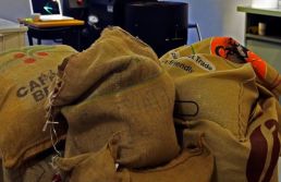 IGP-M cai 0,5% em junho com ajuda de gasolina, etanol e café 