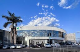 Hospital veterinário investe em parcerias para abrir 12 novas unidades até 2027