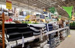 Leroy Merlin diversifica portfólio com aposta no mercado pet