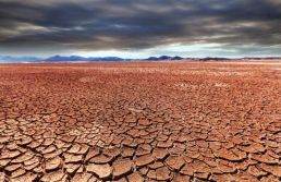 Escassez hídrica: desafios e caminhos para a sustentabilidade