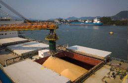 Porto de Santos tem movimentação recorde em setembro e ao longo de 2025