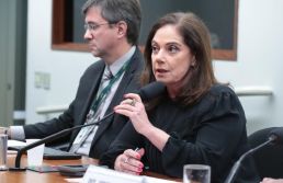 Ausência de reajuste no Simples afeta mais as mulheres, diz deputada Soraya Santos