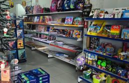 Marketplace da Suzano permite que pequenas papelarias enfrentem gigantes do setor