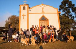 Turismo pet friendly tem potencial, mas esbarra na falta de serviços