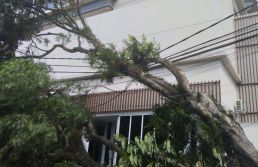 Comércios na Grande SP estão há 48 horas sem energia; prejuízo chega a R$ 77,55 milhões, diz ACSP